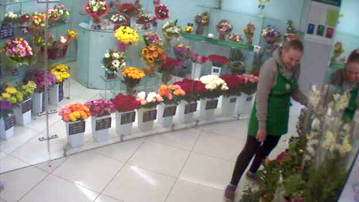 Онлайн веб-камера в павильоне Megaflowers в Омске